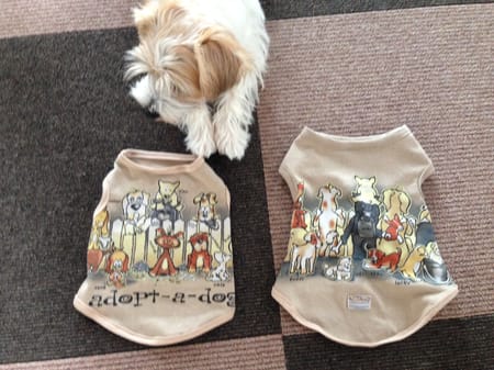 randymikioさんの作品