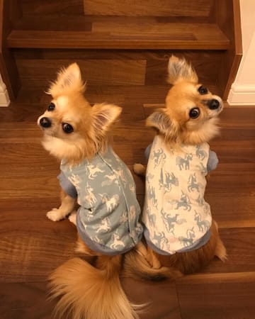 anirokitchenさんの作品