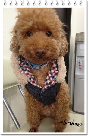 blancoさんの作品