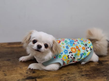 おとしらママさんの作品