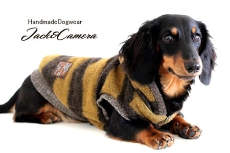 akizoo88さんの作品