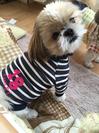 かよママさんの作品