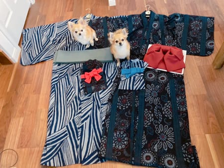 anirokitchenさんの作品