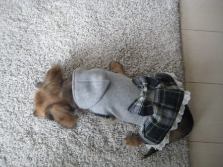 korino-rinoさんの作品