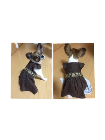 マメココさんの作品