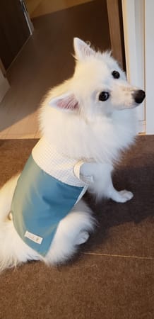 はるさんの作品