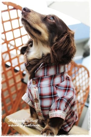 akizoo88さんの作品