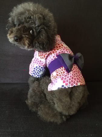 sallyさんの作品