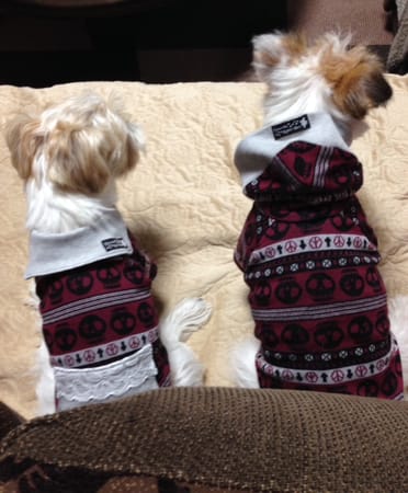 randymikioさんの作品