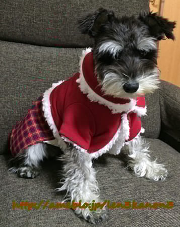 レンかのさんの作品