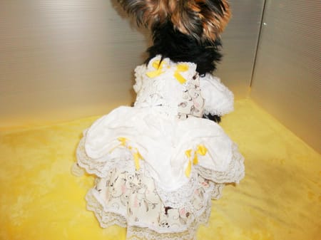 かさたんさんの作品