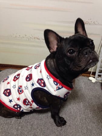 咲桜さんの作品