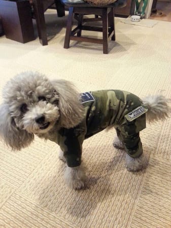 みちもこさんの作品