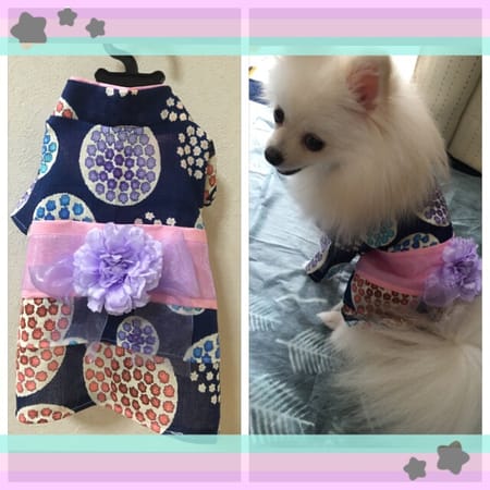 リリーさんの作品