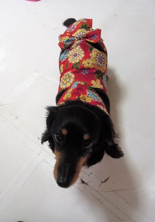 ライさんの作品