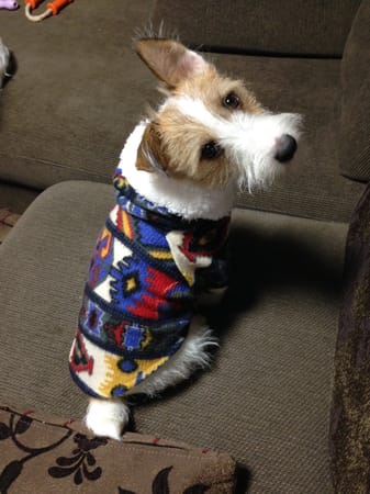 randymikioさんの作品