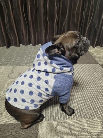 ぷー子りんさんの作品