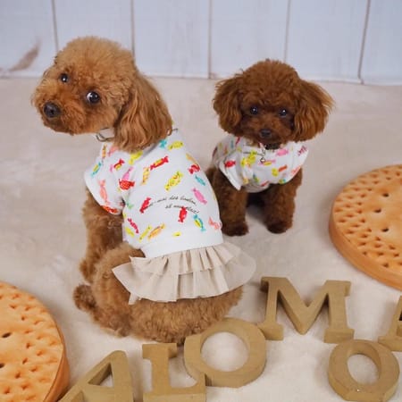 アロモアママさんの作品