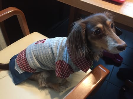 みにくろりんさんの作品