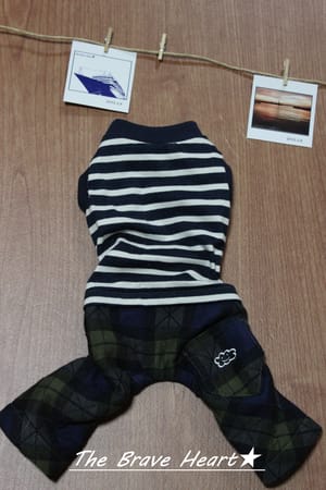 wankokoさんの作品