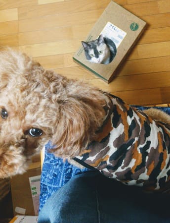 ななびさんの作品