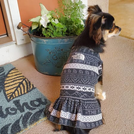 maymayさんの作品