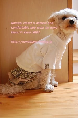 こむぎさんの作品