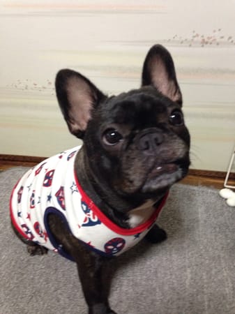 咲桜さんの作品