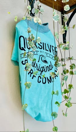 りりかさんの作品