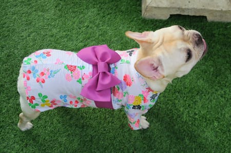 げんこつママさんの作品