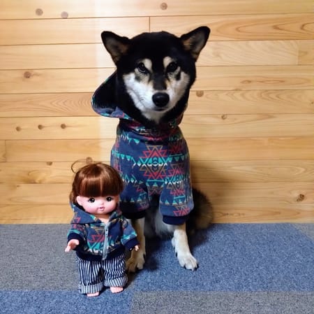 ふうばあさんの作品