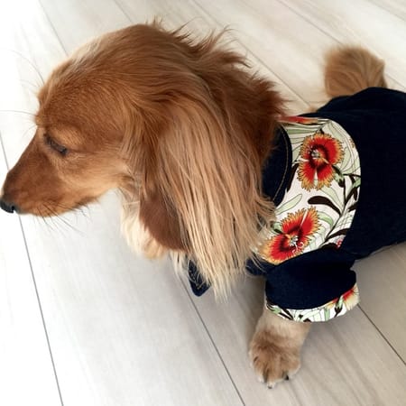 inu-no-hukuさんの作品