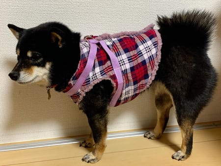 ron_ema_okakoさんの作品