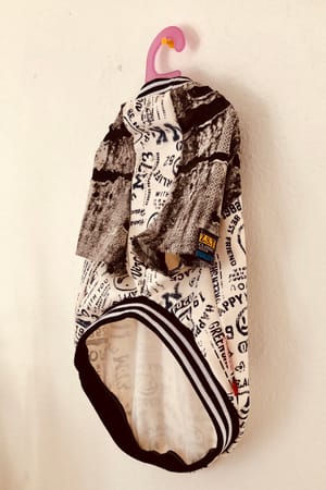 りりかさんの作品