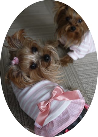 maririnhahaさんの作品