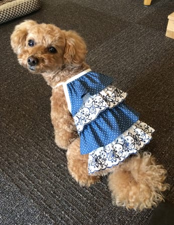 kuuminさんの作品