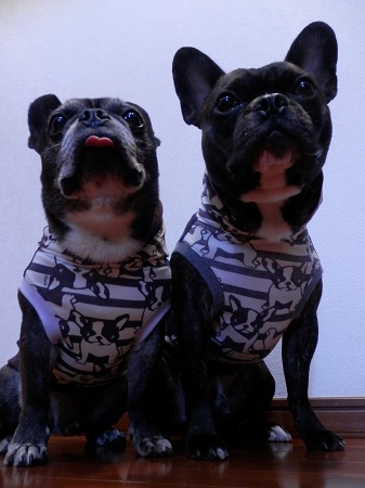 ちびっこさんの作品