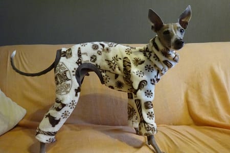 ちょここさんの作品