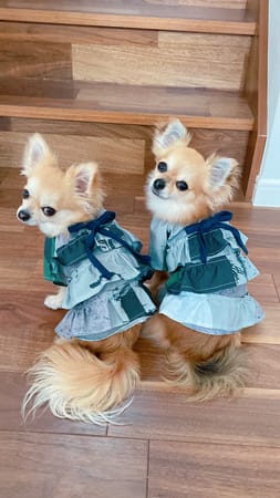 anirokitchenさんの作品