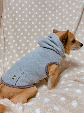 sHinoさんの作品