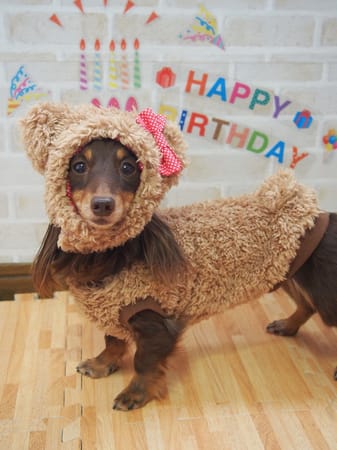 mamehanasoraさんの作品