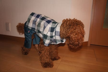 tabajunさんの作品