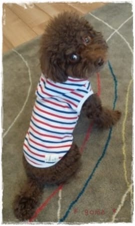 hironさんの作品