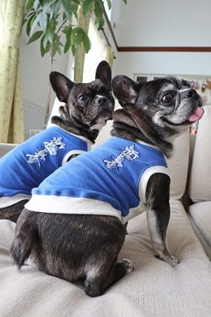 ちびっこさんの作品