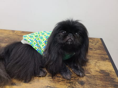 おとしらママさんの作品