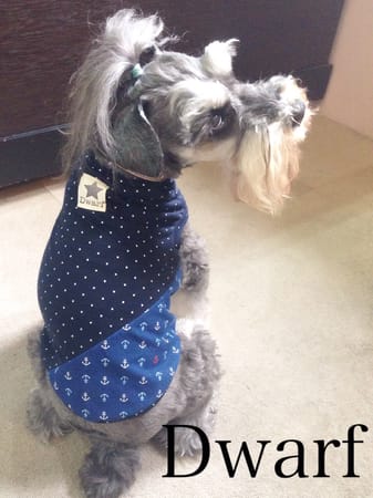 Dwarfさんの作品