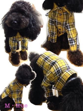 M・trueさんの作品