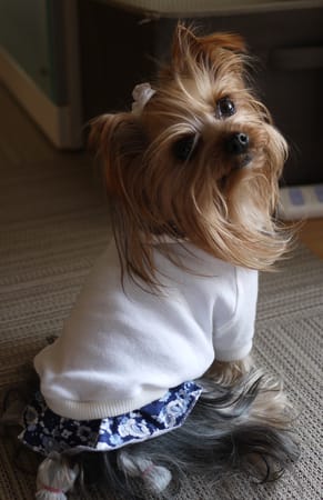 maririnhahaさんの作品