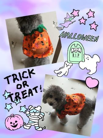 marimoさんの作品