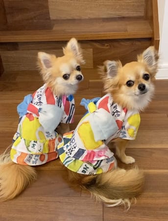 anirokitchenさんの作品